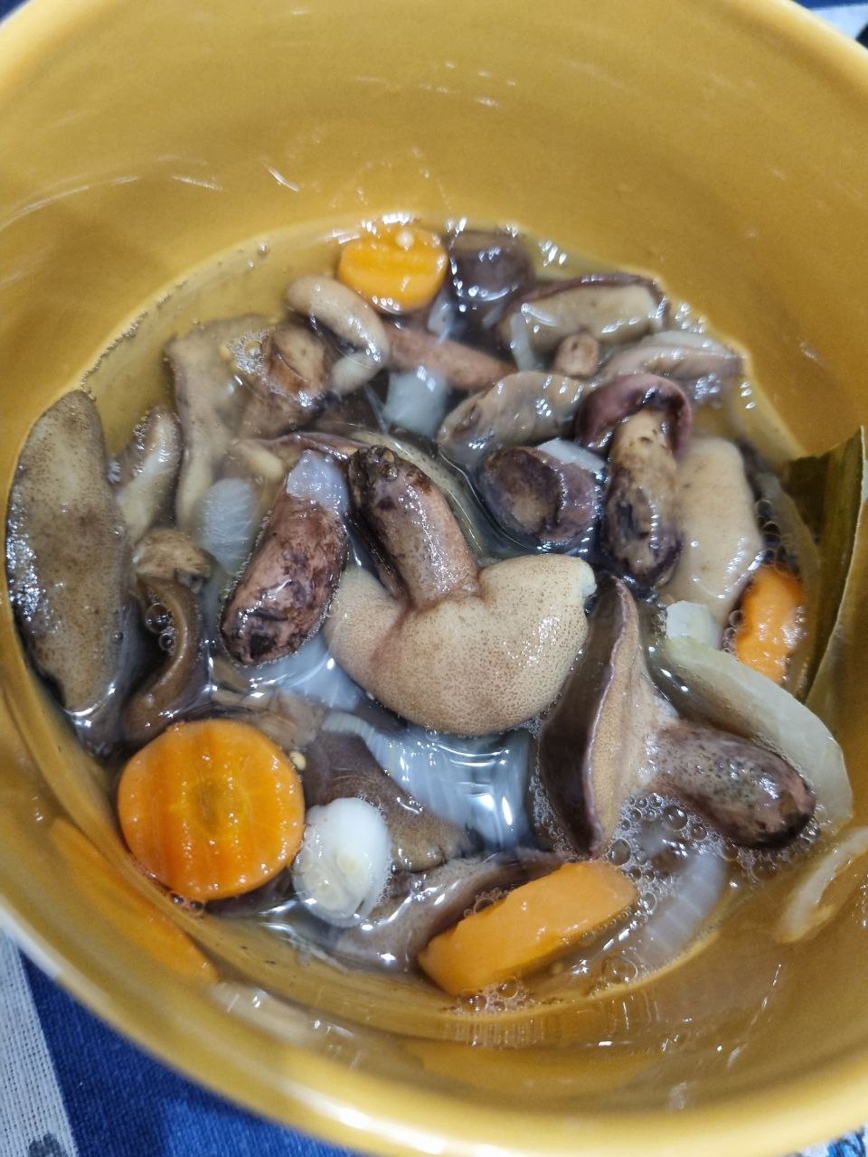 Marinated Boletus Mushroom Soup