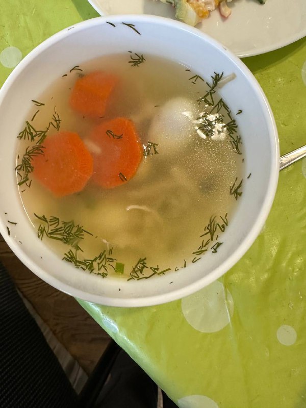 Chicken Broth With Vegetables