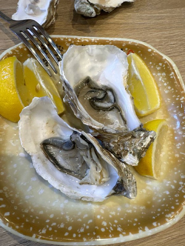 Fresh Oysters On The Half Shell With Lemon Wedges