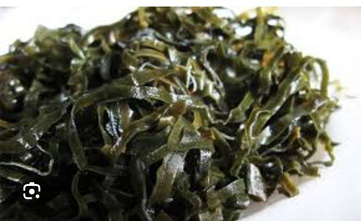 Kombu seaweed