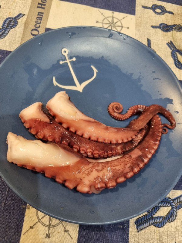 Grilled Octopus Tentacles
