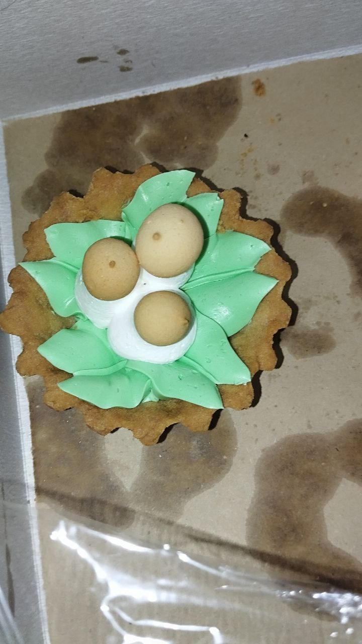 Decorated Cookie (nest With Eggs Theme)