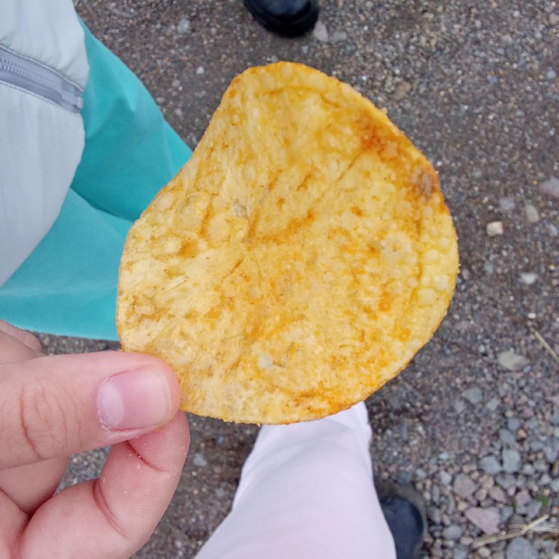 Potato Chip