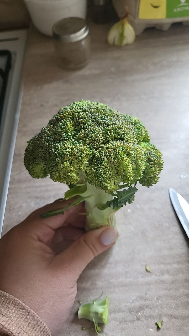 Raw Broccoli Floret