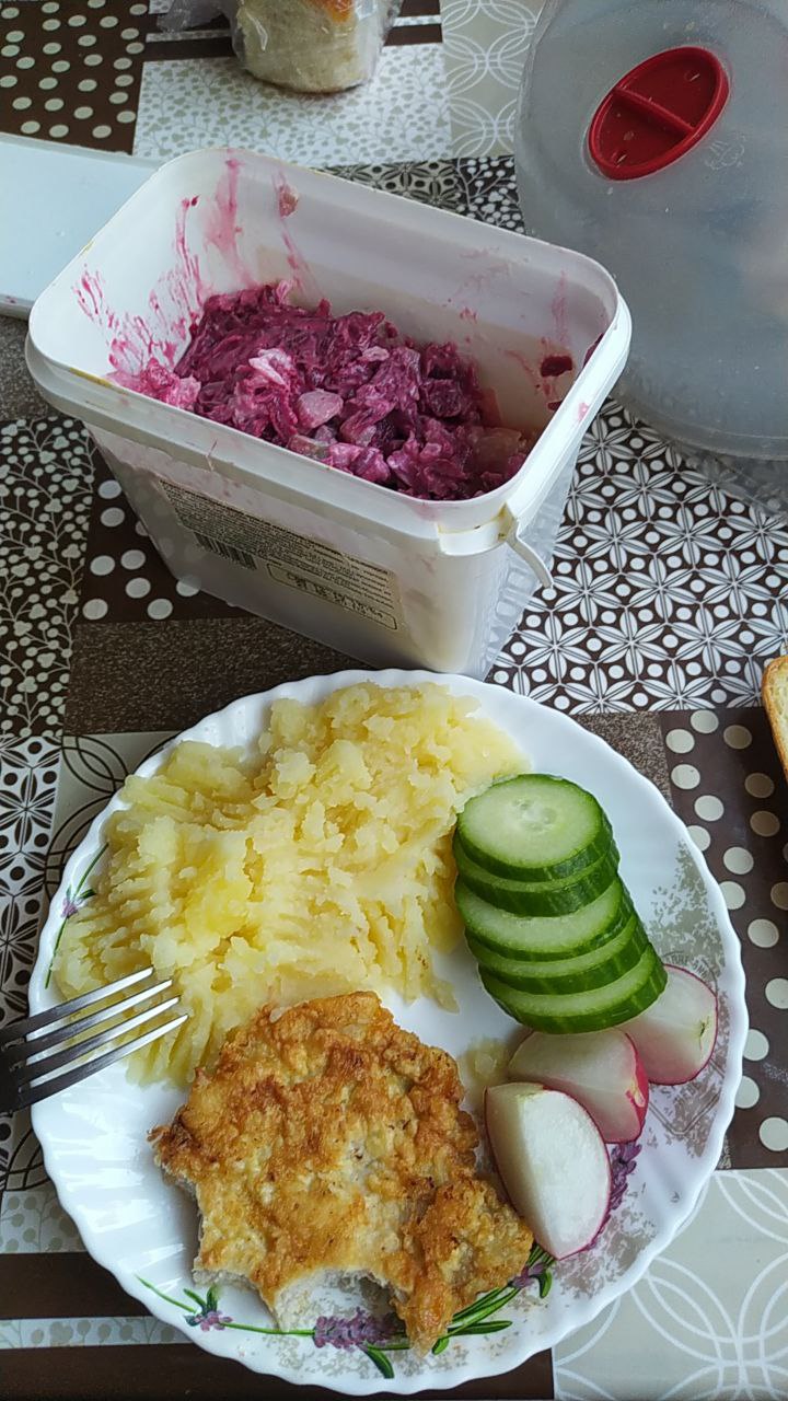 Breaded Chicken Or Pork Cutlet With Mashed Potatoes, Cucumber, And Red Cabbage Salad
