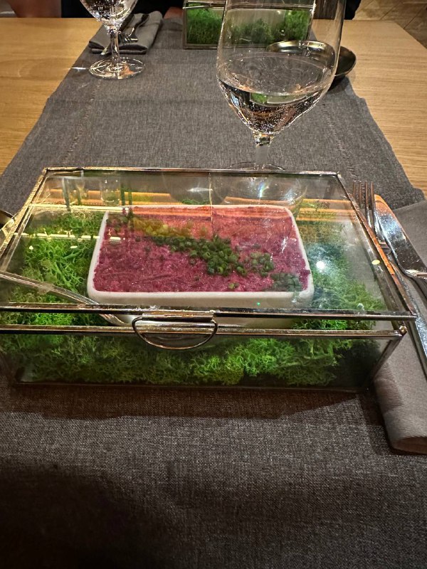 Creative Terrarium Dish