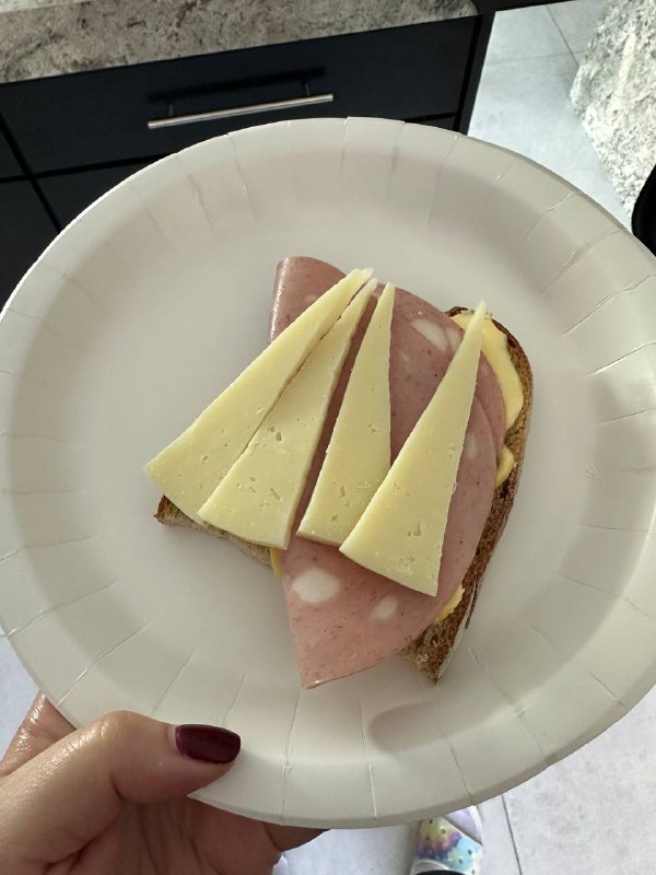 Open-faced Sandwich With Salami And Cheese